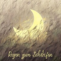 Chanting Birds - Meeresrauschen & Guten Schlafen Akademie & Regen zum Schlafen