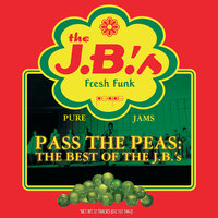 Gimme Some More - The J.B.'s