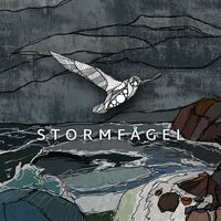 I Tysta Rum - Stormfagel