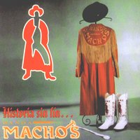 Desesperadamente - Banda Machos & Pedro Magdaleno