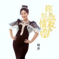 你给的爱情是心碎 - 赵洋
