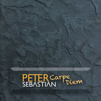 Du schwarzer Zigeuner - Peter Sebastian