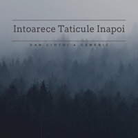 Curgeti Lacrimi - Dan Ciotoi & Generic