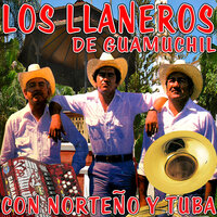 Una Lágrima Y Un Beso - Los Llaneros De Guamuchil