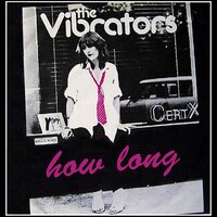 Rocker - The Vibrators