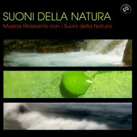 Pioggia Tropicale e in lontananza i tuoni - Armonia, Benessere & Musica