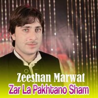 Da Sta Pa Marg - Zeeshan Marwat