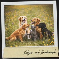 Sonate incendiaire - Cat Music Therapy & Cat Music & Weißes Rauschen