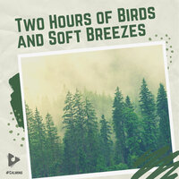 Inspired By Nature - #Calming & Nature Sounds