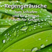 Asmr Regen für Yoga - Regen zum Einschlafen für Kinder & Schlafmusik & Entspannungsmusik
