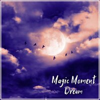 Deep Sleep Therapy - Deep Sleep Maestro