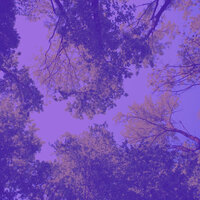 Lovely Ambience for Unwinding - Calm Guitar Music Playlists