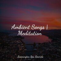 Comforting Sounds - Rain Sounds & Soothing Music Academy & Sleep Music System