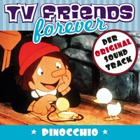 Sei nicht traurig - Karel Svoboda & TV Friends Forever
