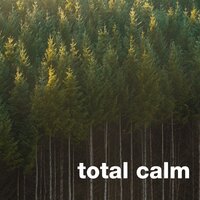 Connected - Calming Music Ensemble & Soothing Sounds & Soothing White Noise For Infant Sleeping And Massage