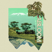 abloom - Mava