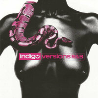 Jalousie - Indigo & X-Clusives
