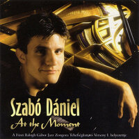 Meaning Of The Blues - Szabó Dániel