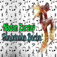 Khudy Da Para Ashna - Shahansha Bacha