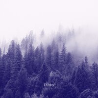 Bosque - Th Moy
