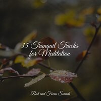 Casual Meanderings - Avslappning Sound & Relax Meditation Sleep & Meditação Maestro