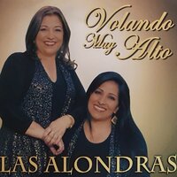 Por Tu Olvido - Las Alondras