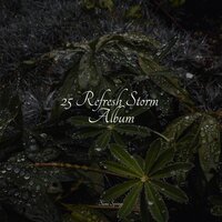 Rain in the Jungle - Sleep Recording Sounds & Sons da Natureza & Natureza
