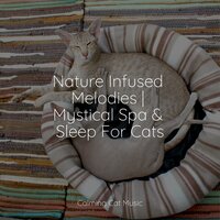 Deep Sleep - Music for Relaxing Cats & Cats Music Zone & Music For Cats