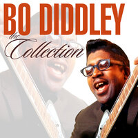 Shank - Bo Diddley