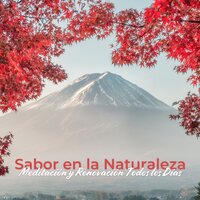 Purificación - Relajación Meditar Academie