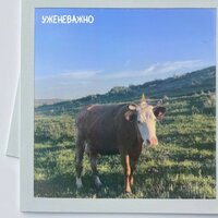 Я не заметил - уженеважно