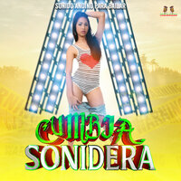 Panorama - Cumbia Sonidera & Grupo Andino Show & Sonido Andino