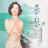 你的眼神 - 蔡琴
