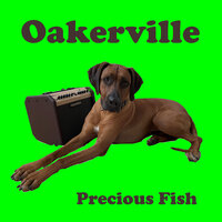 Over You - Oakerville
