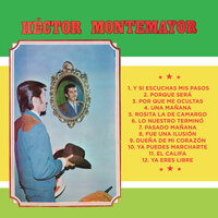 Ya Eres Libre - Hector Montemayor