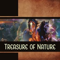 Cycle of Nature - Hypnotic Therapy Music Consort