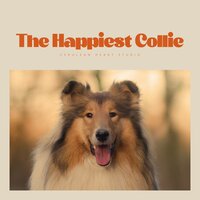 Phantom and Pallor Abysses - Music For Dogs With Anxiety