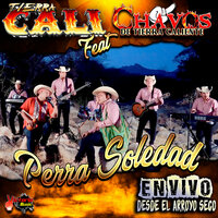 Perra Soledad - Tierra Cali
