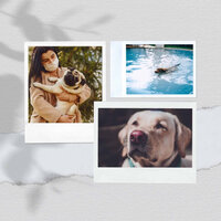 Playful Moods for Doggy Walks - Relaxation Music For Dogs