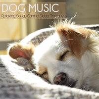 Floating Petals - Dog Music Waves & Dog Music Zone & Dog Music Therapy