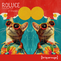 Shaolin Trip - Roluce