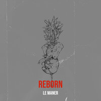 Simple Truth - Le Maner