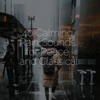 Forest, Wind, Heavy - Zarobi & Natural Sample Makers & Sleeping Music