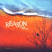 Grounded - Reason