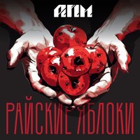 Последний мост - АПМ