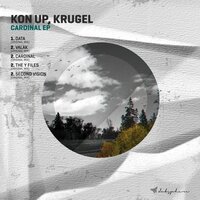 Data - Kon Up & Krugel