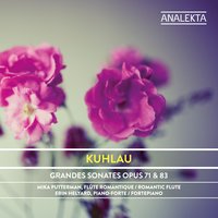 Grand Sonata for Fortepiano and Flute Obbligato, Op. 83, No. 1: VI. Variations sur un ancien air suédois - Variation IV - Mika Putterman & Erin Helyard