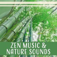 Sleep Medicine Therapy - Zen Relaxation Academy