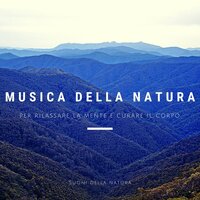 Meditazione - Ludovico Allevia