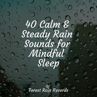 Meadows, Birds, Summer, Rustle - Rain Storm Sample Library & SleepTherapy & Calming Sounds